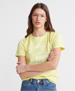 Superdry Organic Cotton Premium Goods Label Outline Női Pólók Zöld | PLGMH9146